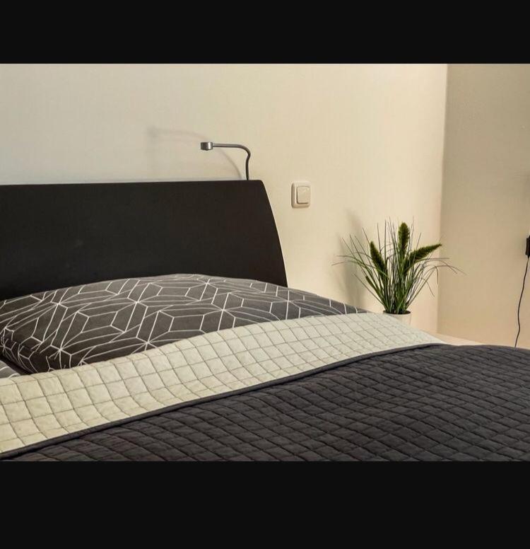 Zimmer - Modernes Apartment Mit 45 Qm. Straubing Exteriör bild